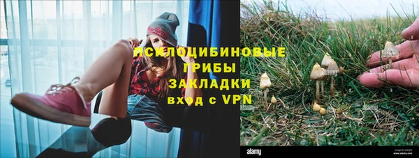 гидропоника Покачи