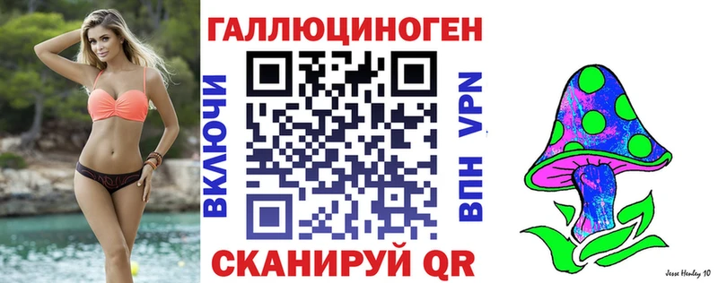 Псилоцибиновые грибы GOLDEN TEACHER  ОМГ ОМГ tor  Котлас  цены наркотик 