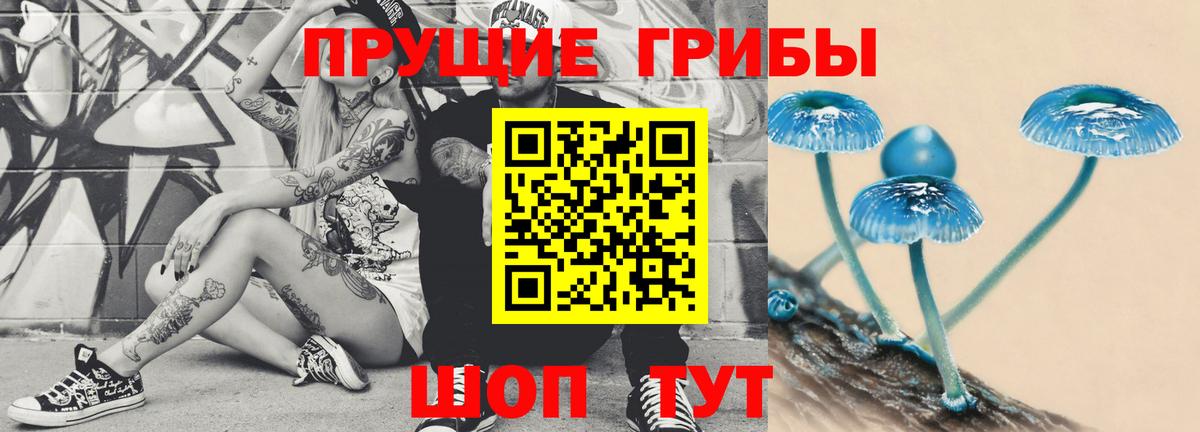 Псилоцибиновые грибы Cubensis Котлас