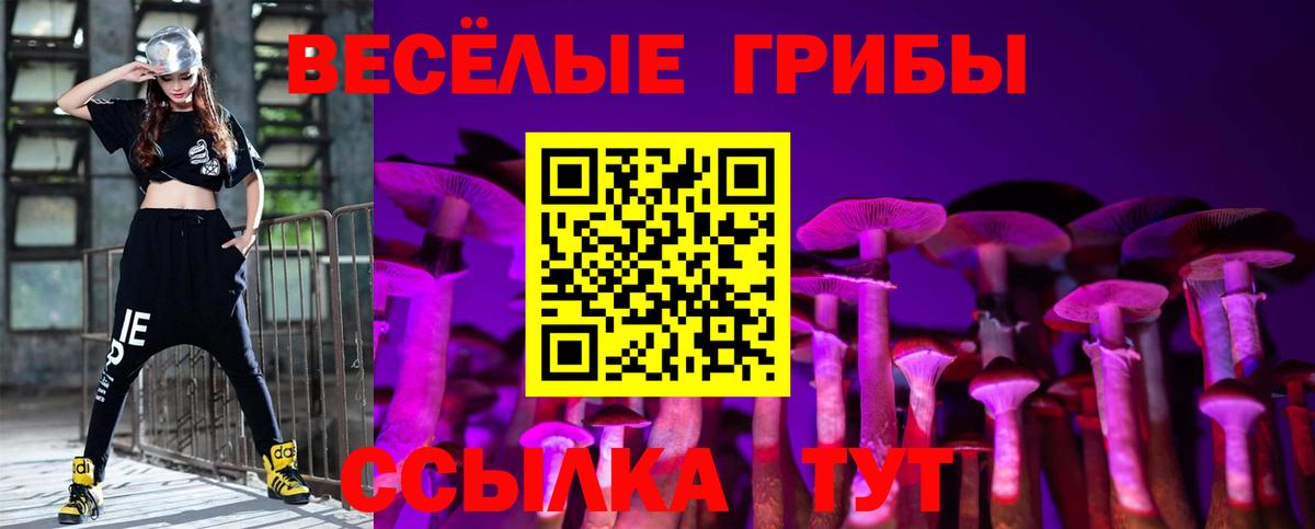 Котлас  Псилоцибиновые грибы GOLDEN TEACHER  Вход с VPN 