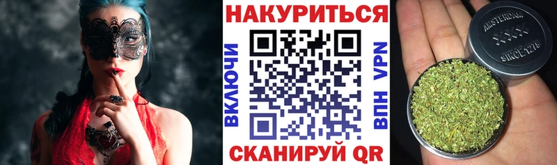 Бошки Шишки марихуана  Котлас 